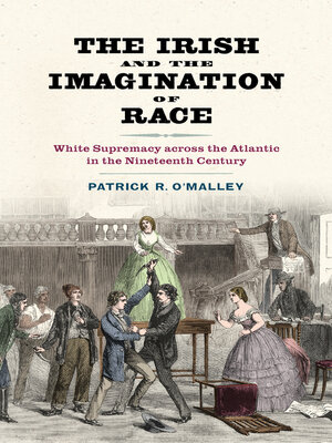 cover image of The Irish and the Imagination of Race